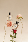 Luxury Fragrance Collection